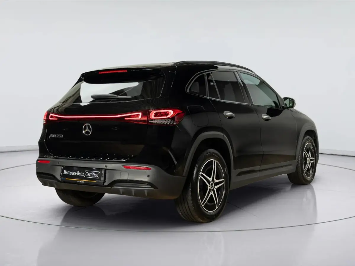 250 Business Solution AMG 67 kWh | Panorama dak