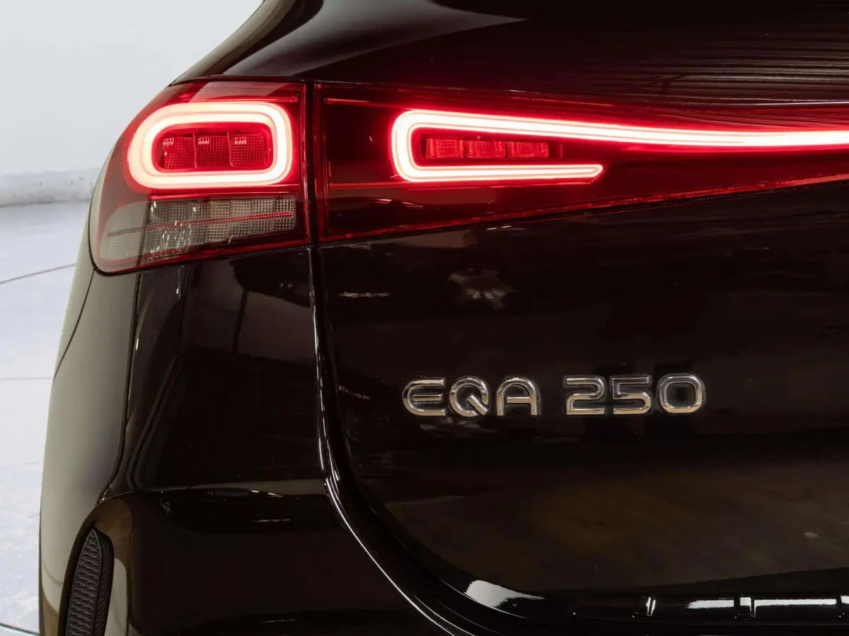 250 Business Solution AMG 67 kWh | Panorama dak