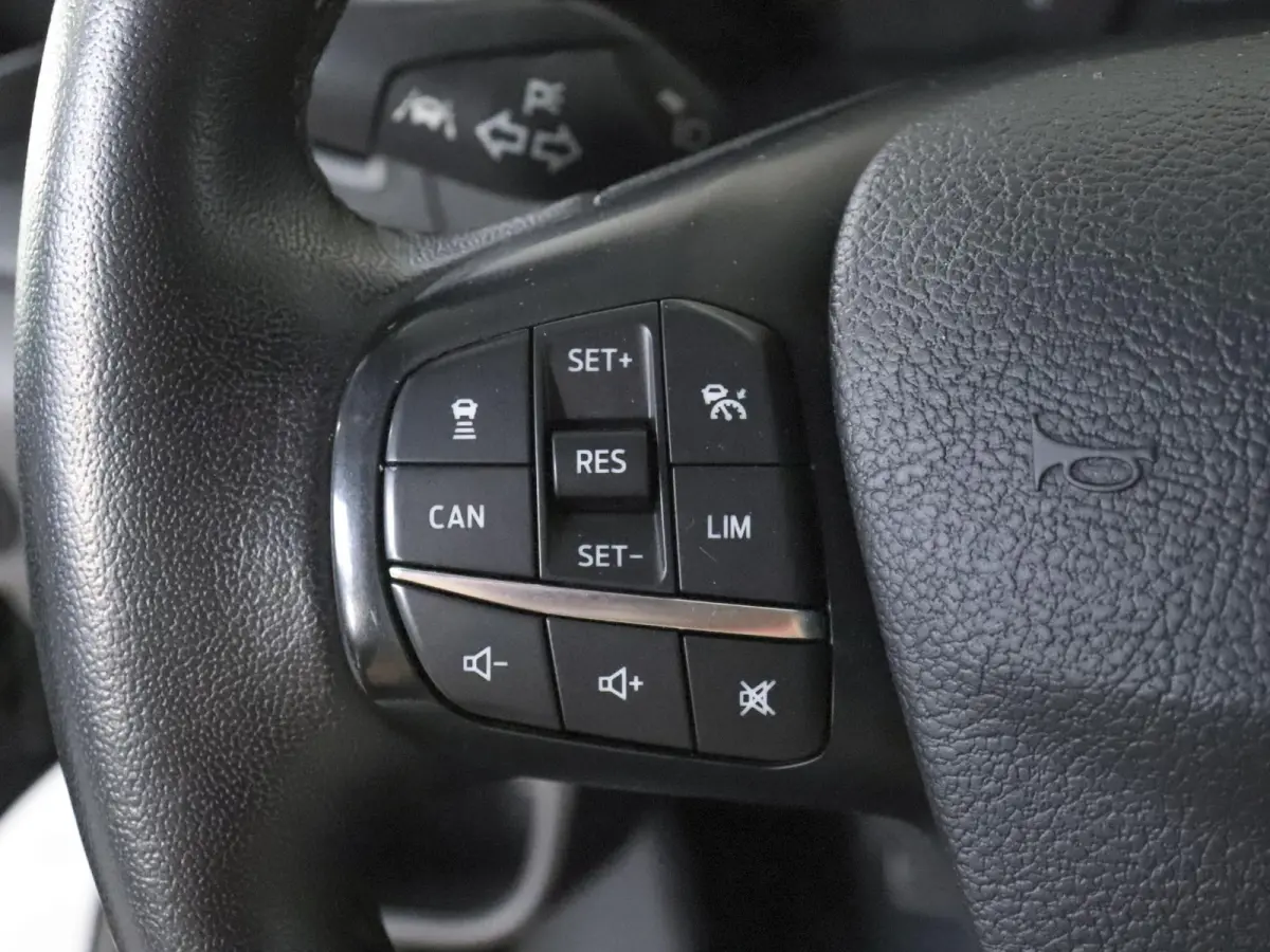 290 2.0 TDCI L2H2 Trend Airco Navigatie Bluetooth Camera Cruise Control Trekhaak