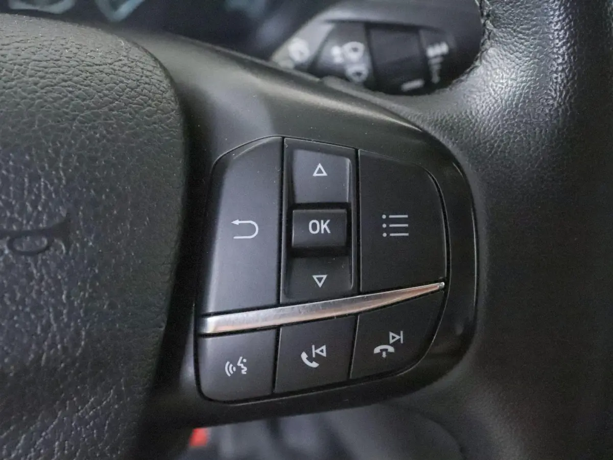 290 2.0 TDCI L2H2 Trend Airco Navigatie Bluetooth Camera Cruise Control Trekhaak