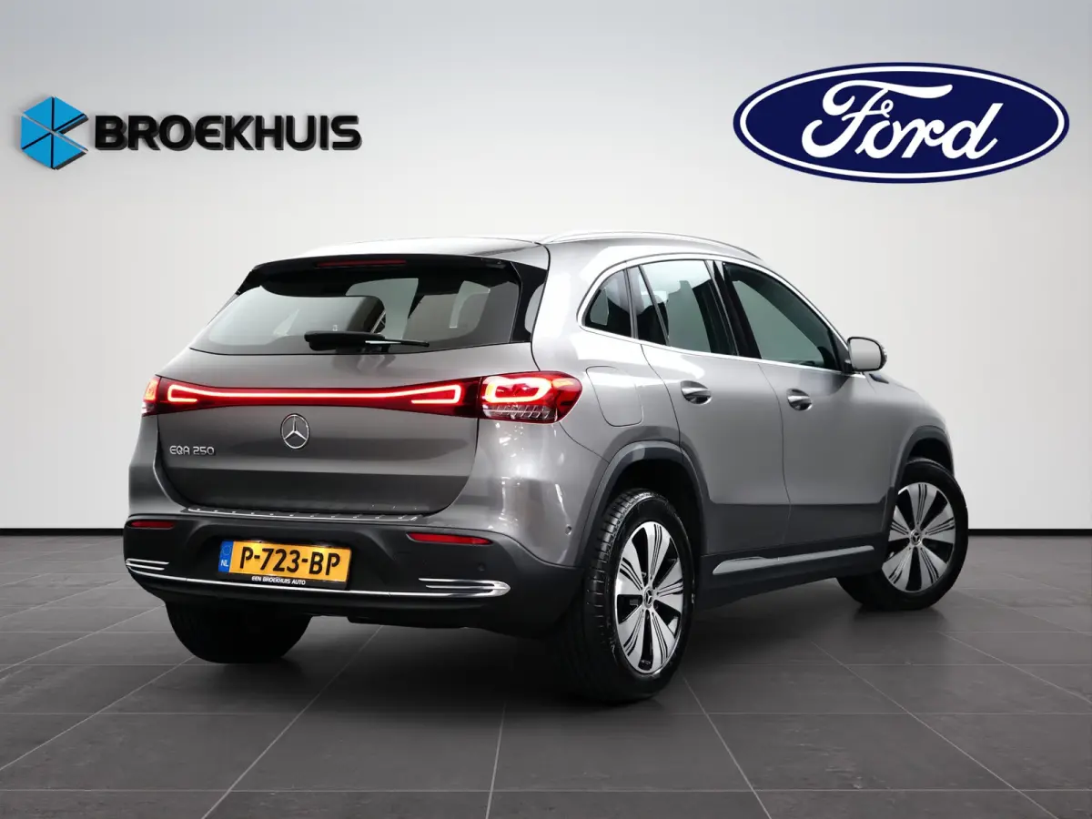 250 Business Solution Luxury 67 kWh | Dodehoek Detectie | Stoelverwarming | Leder/stof