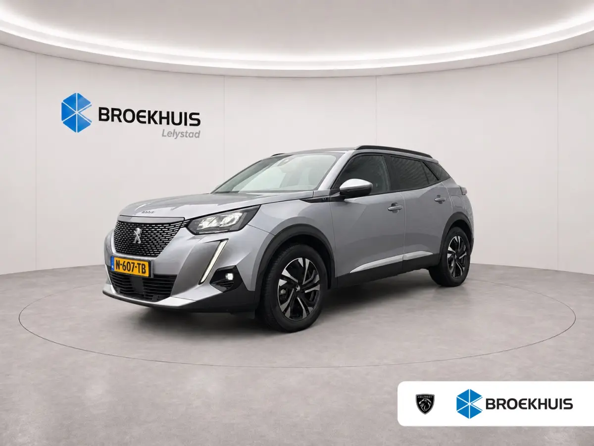 EV ALLURE PACK 50KWH 3 Fase 92,1%SOH! / NAVI / LEDER / CLIMA / LED / PDC / 17" LMV / CAMERA / KEYLESS !!