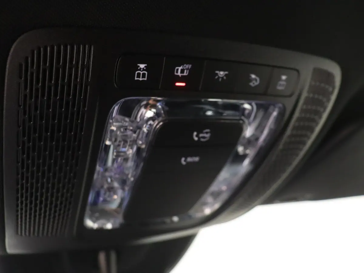 250 Luxury Line 67 kWh / DISTRONIC/ Sfeerverlichting/ El. Trekhaak