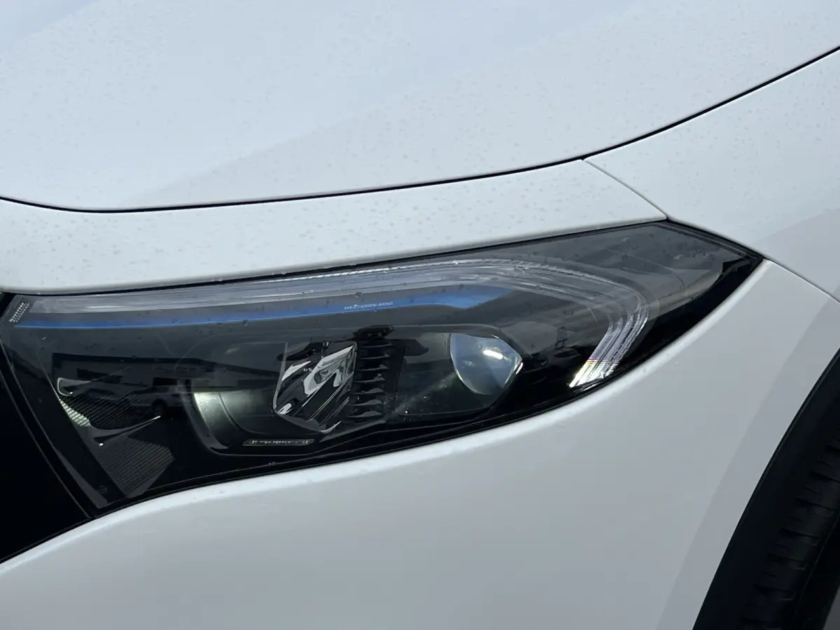 250+ Business Line 71 kWh | All Season | LED | Camera