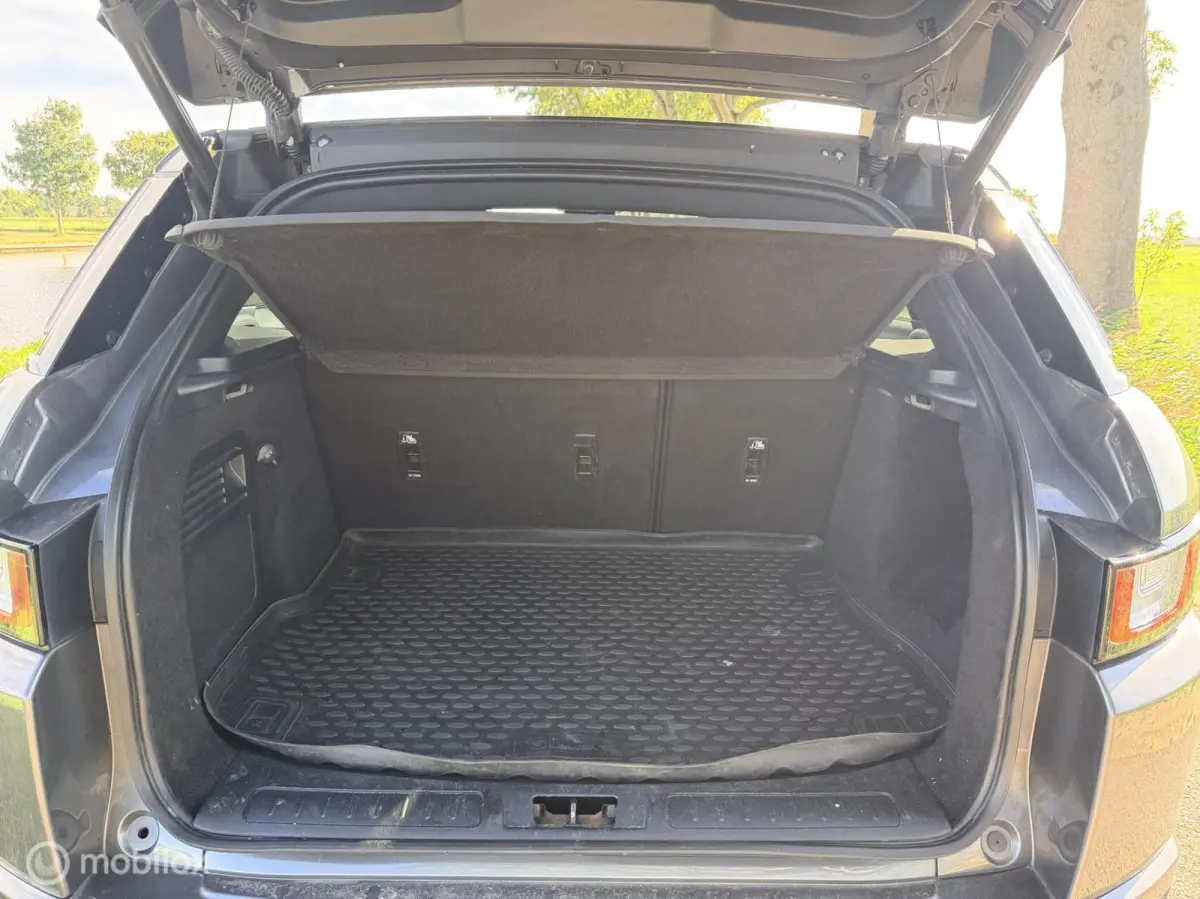 2.0 TD4 HSE Dynamic/Inruil mog