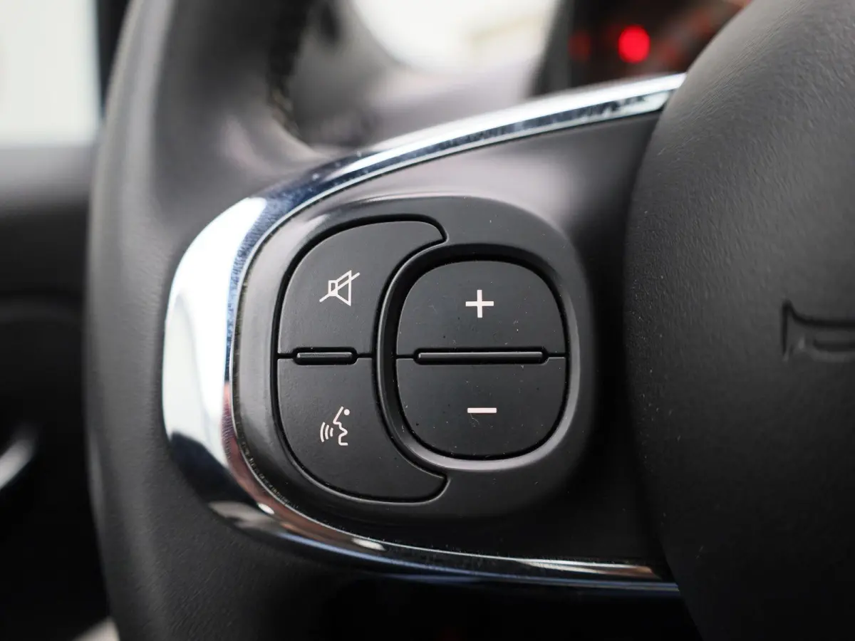 1.0 Hybrid Dolcevita | Panoramadak | Cruise Control | Airco |