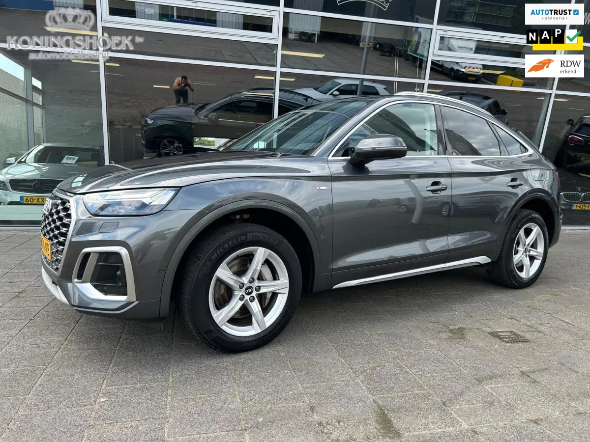 50 TFSI e Advanced edition Panodak Origineel NL