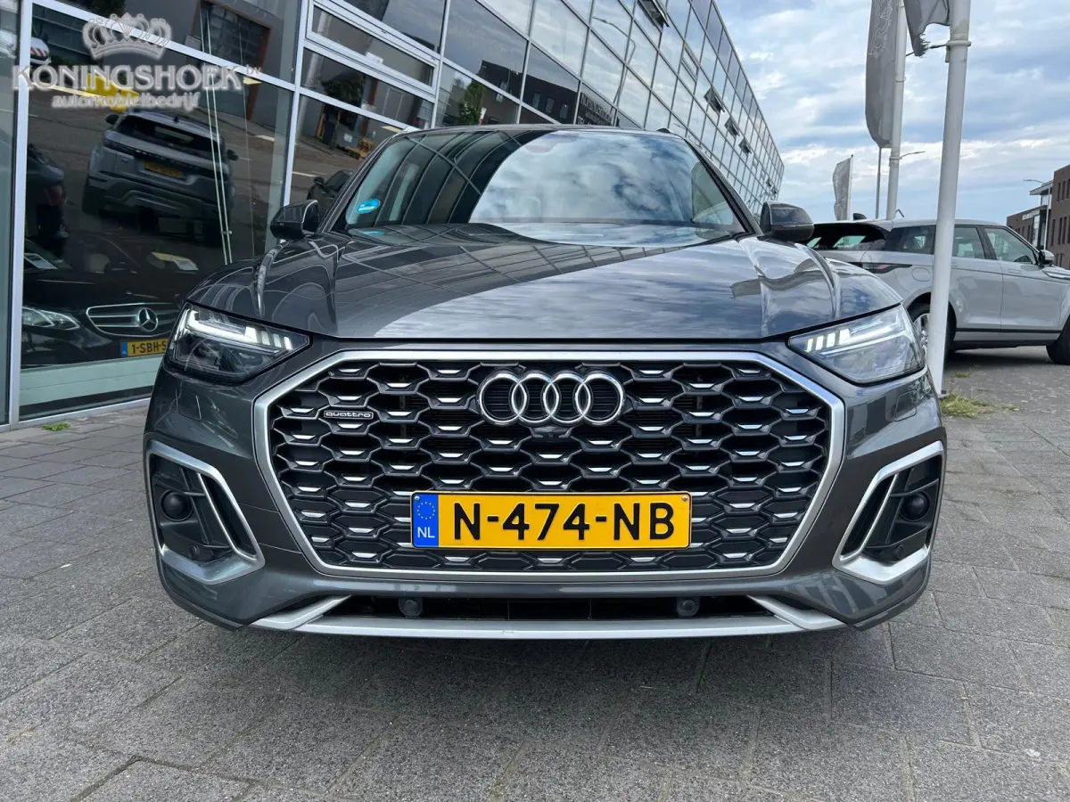 50 TFSI e Advanced edition Panodak Origineel NL