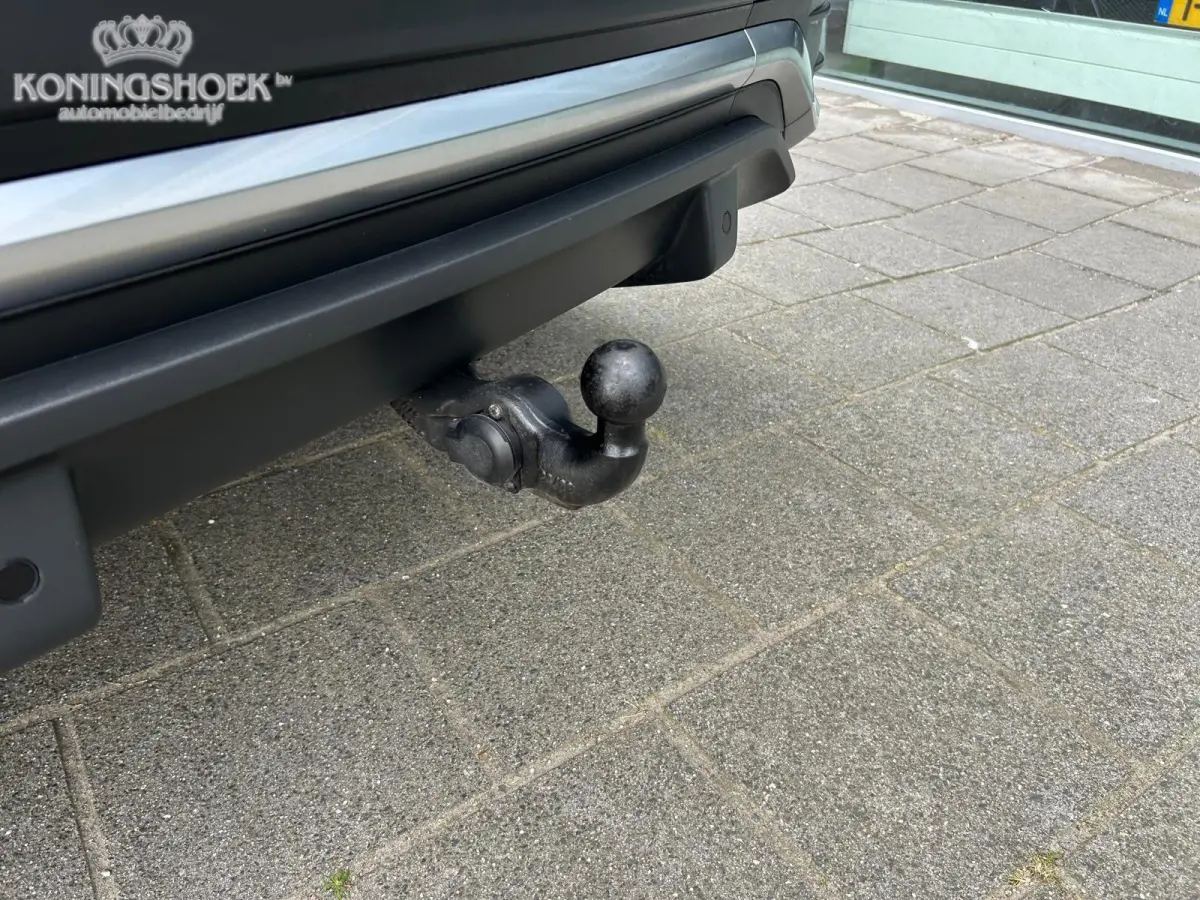 50 TFSI e Advanced edition Panodak Origineel NL