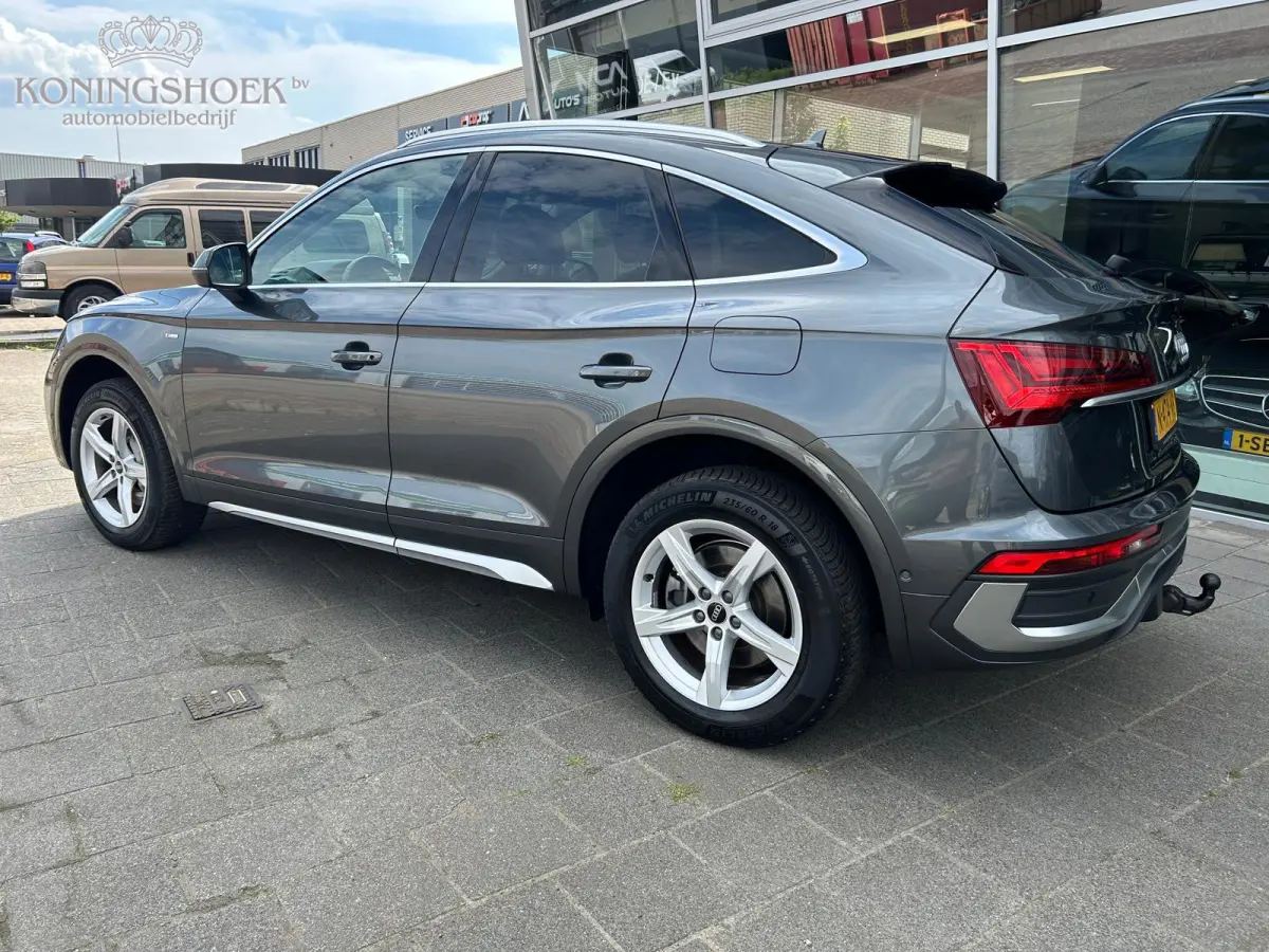 50 TFSI e Advanced edition Panodak Origineel NL