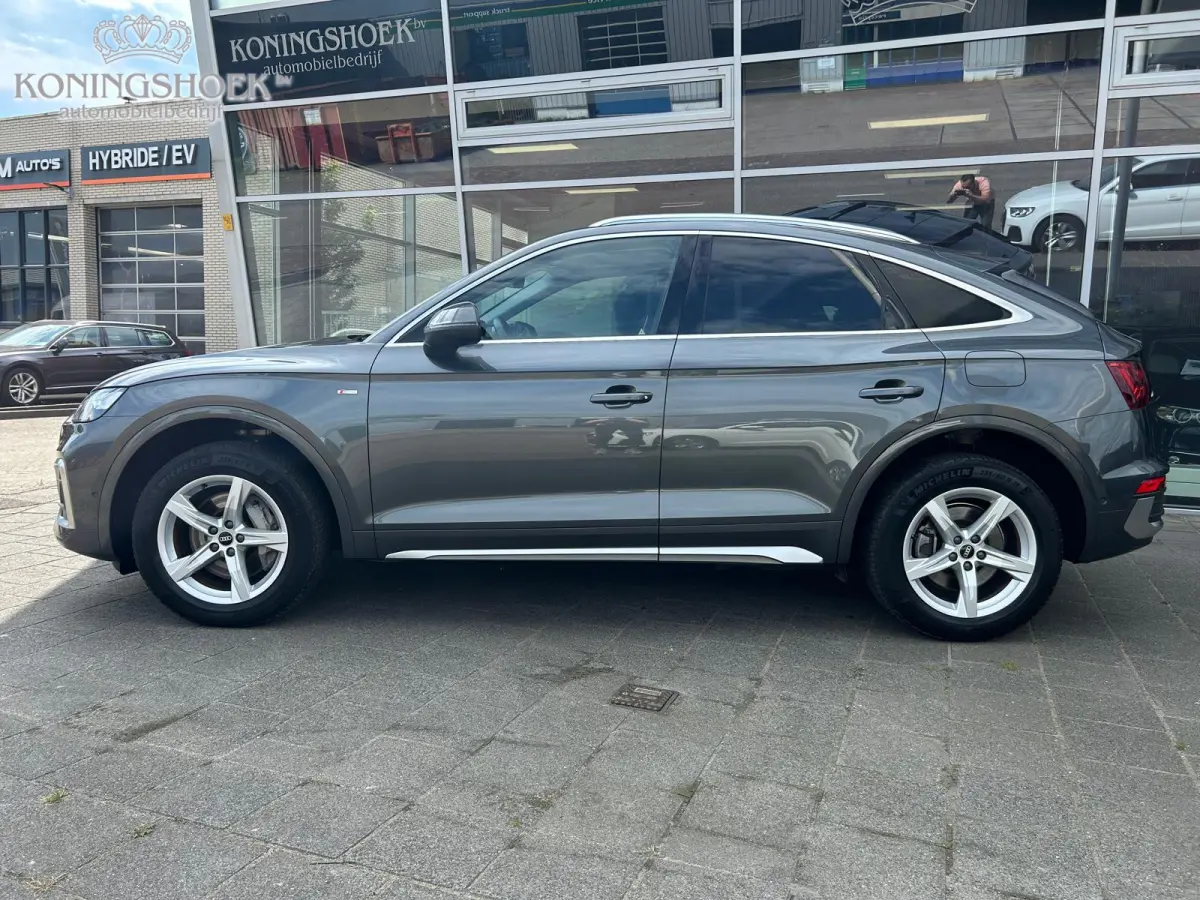 50 TFSI e Advanced edition Panodak Origineel NL