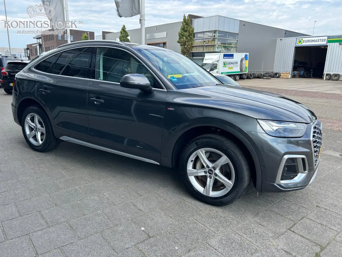 50 TFSI e Advanced edition Panodak Origineel NL