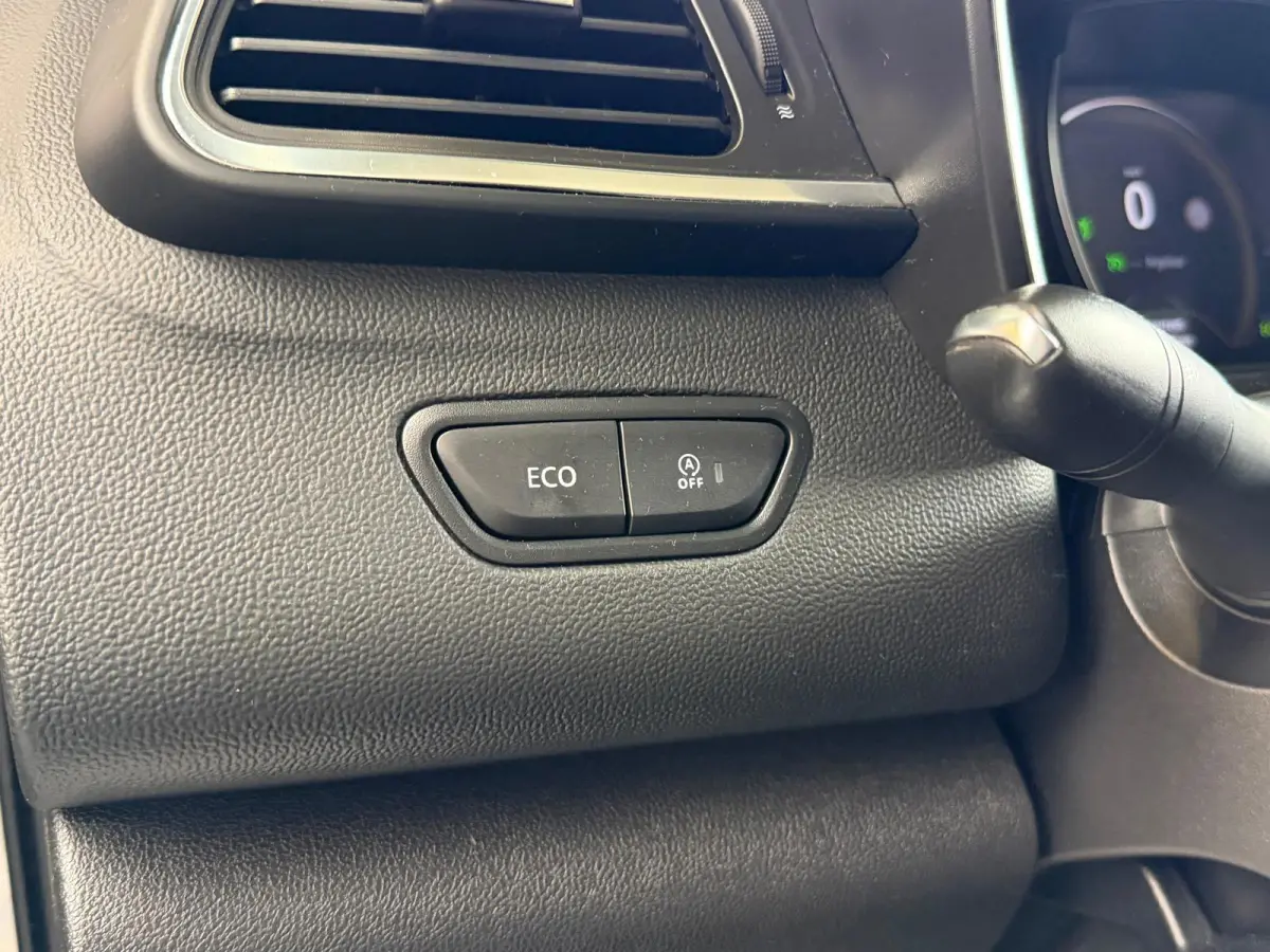 1.2 TCe Bose Camera, carplay, Navi, Leer