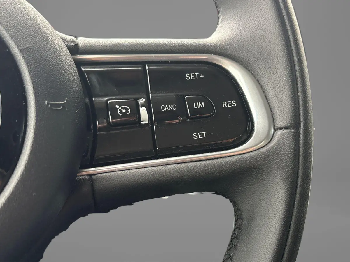 Icon 42 kWh | Navigatie | Stoelverwarming | Parkeersensoren Voor + achter | Camera | Apple carplay/Andoird Auto |
