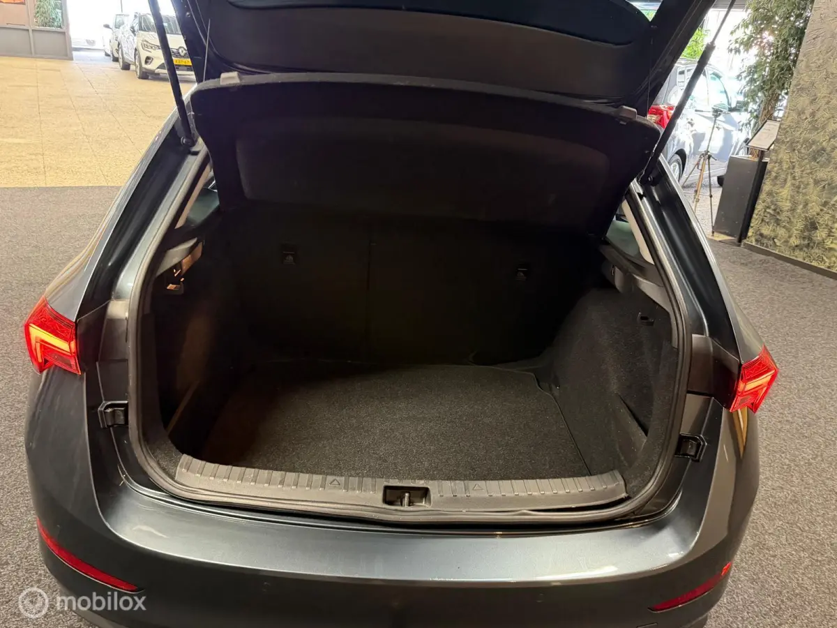 1.0 TSI Business Edition-Camera-116 PK-Carplay