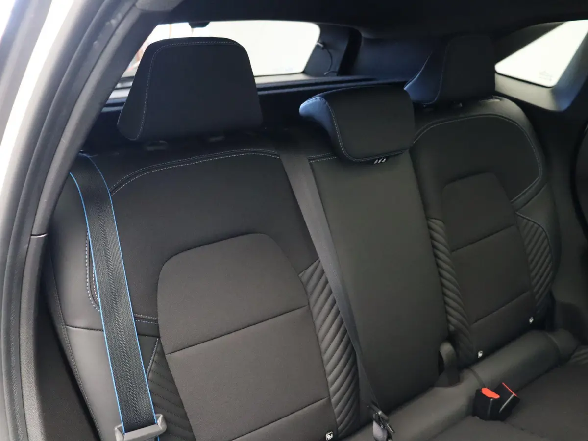 E-Tech full hybrid 160pk esprit Alpine | Panorama dak | Harman Kardon premium audio | Stuurverwarming | Adaptive cruise |