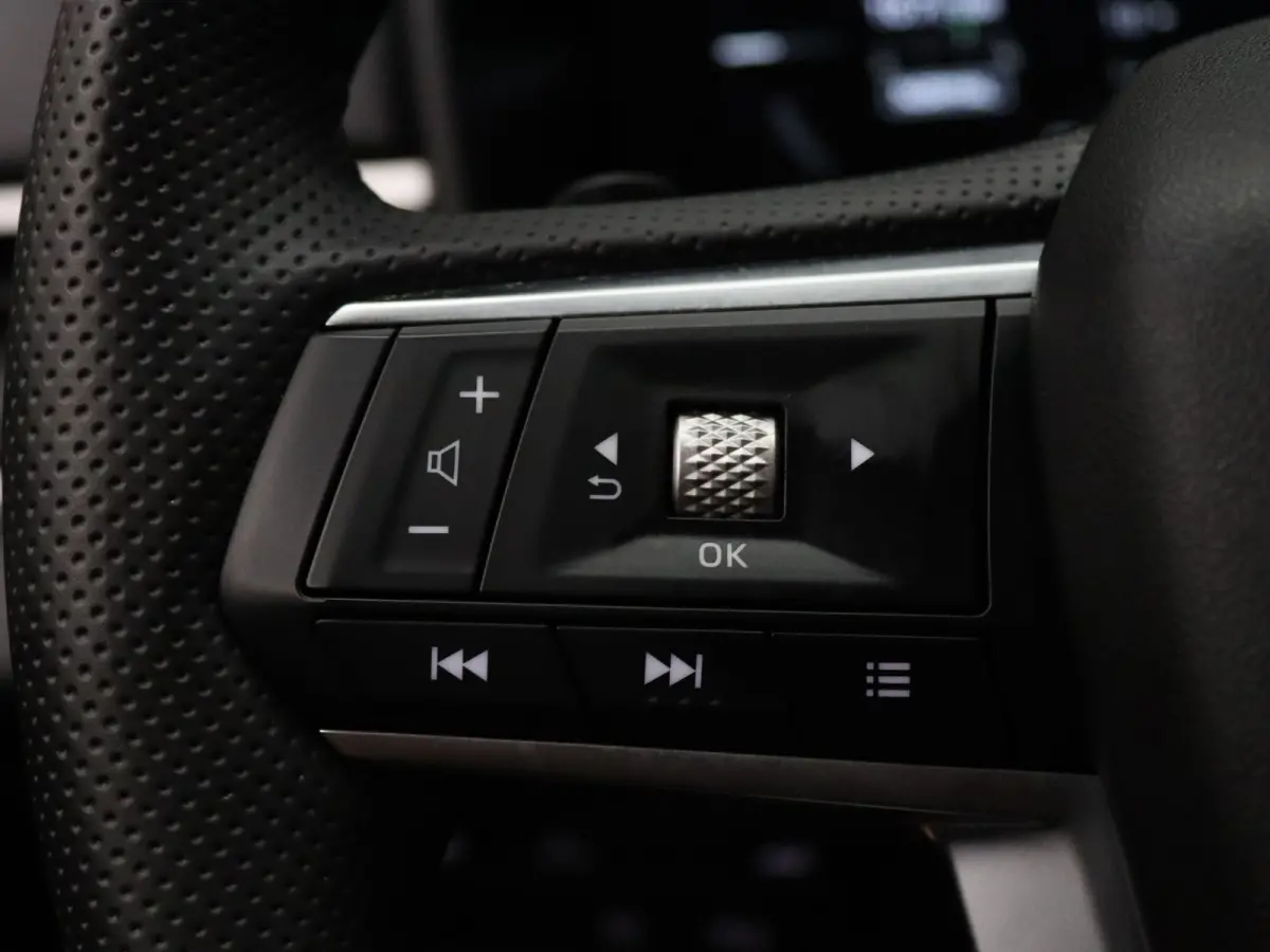 306pk PHEV First Edition Apple Carplay/Android Auto | Climate
