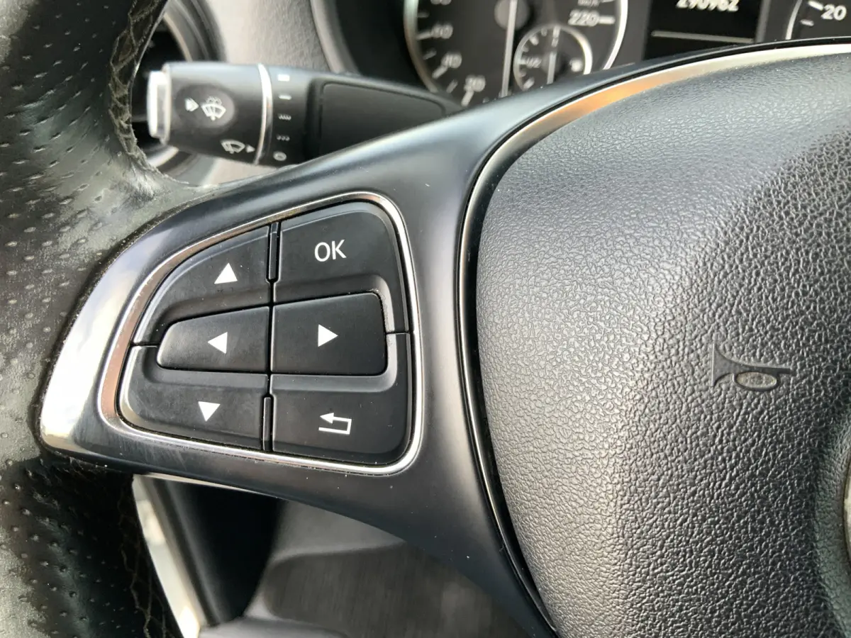 111 CDI Functional Lang Airco Cruise Trekhaak 2000 kg Euro 6