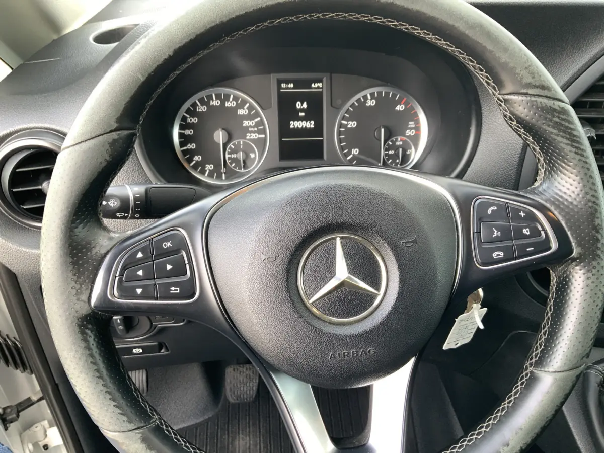111 CDI Functional Lang Airco Cruise Trekhaak 2000 kg Euro 6