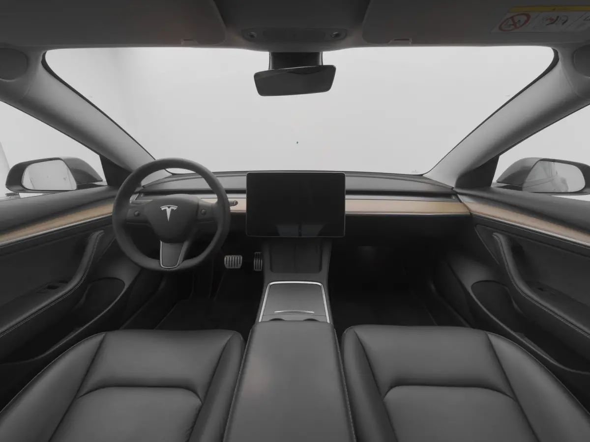 Performance AWD 75 kWh | PANO | STUURVERWARMING