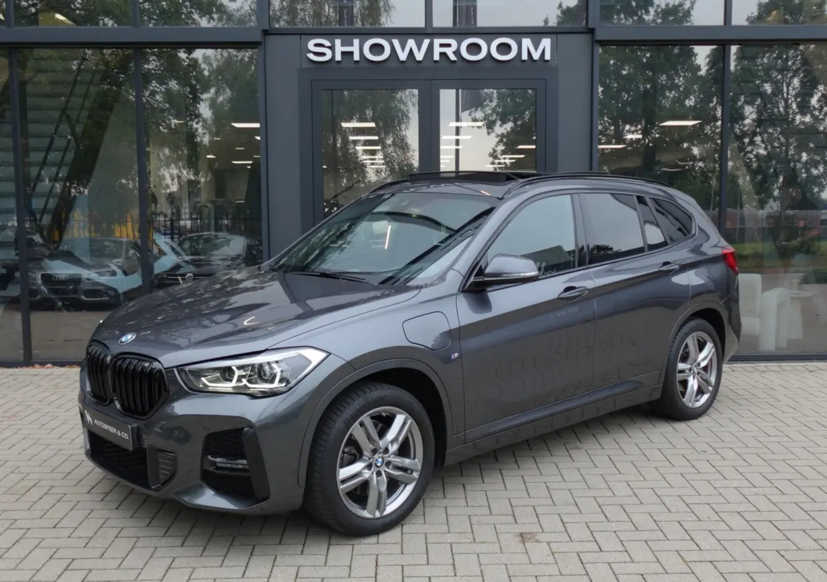 XDrive25e Executive PANO NAVI CAM VOL