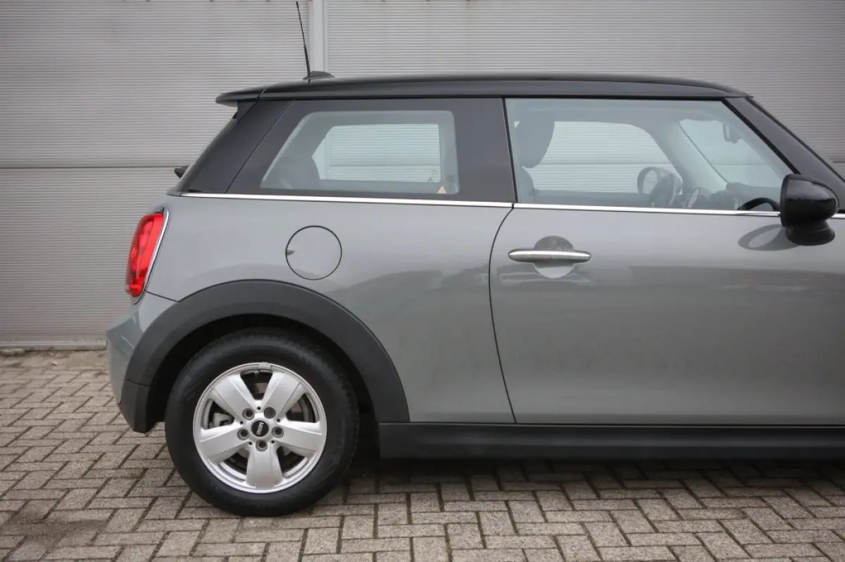 Mini 1.5