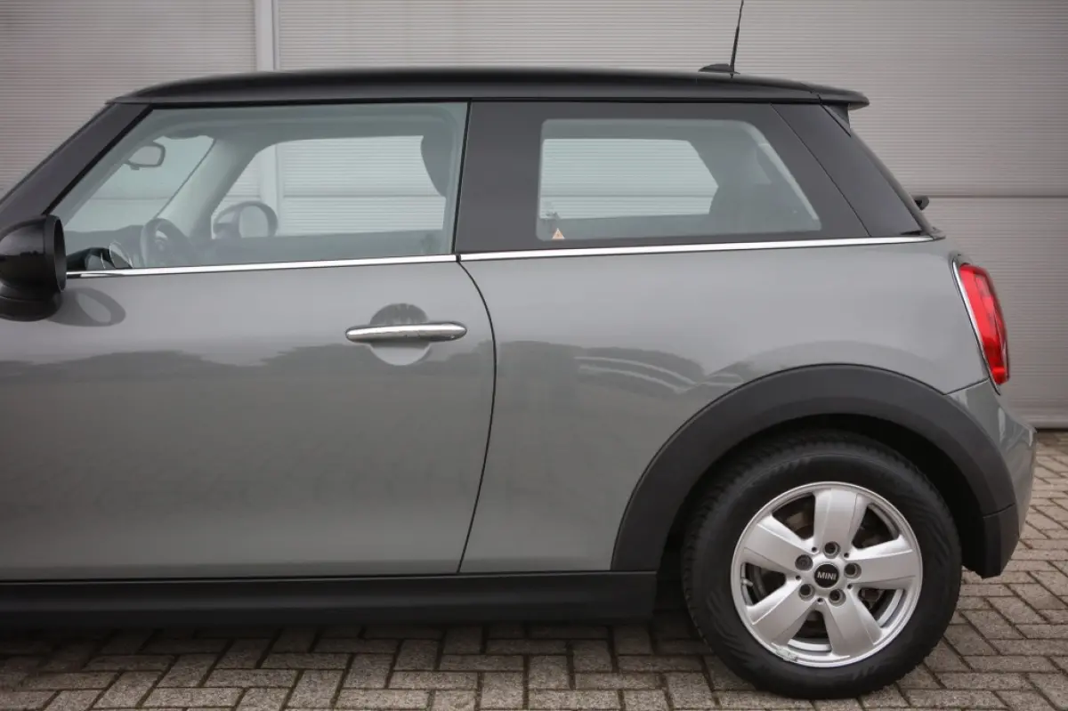 Mini 1.5