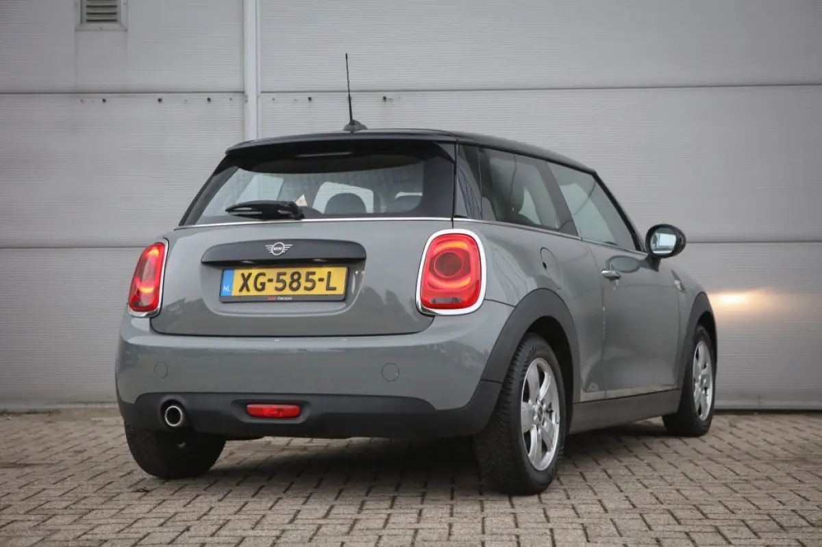 Mini 1.5