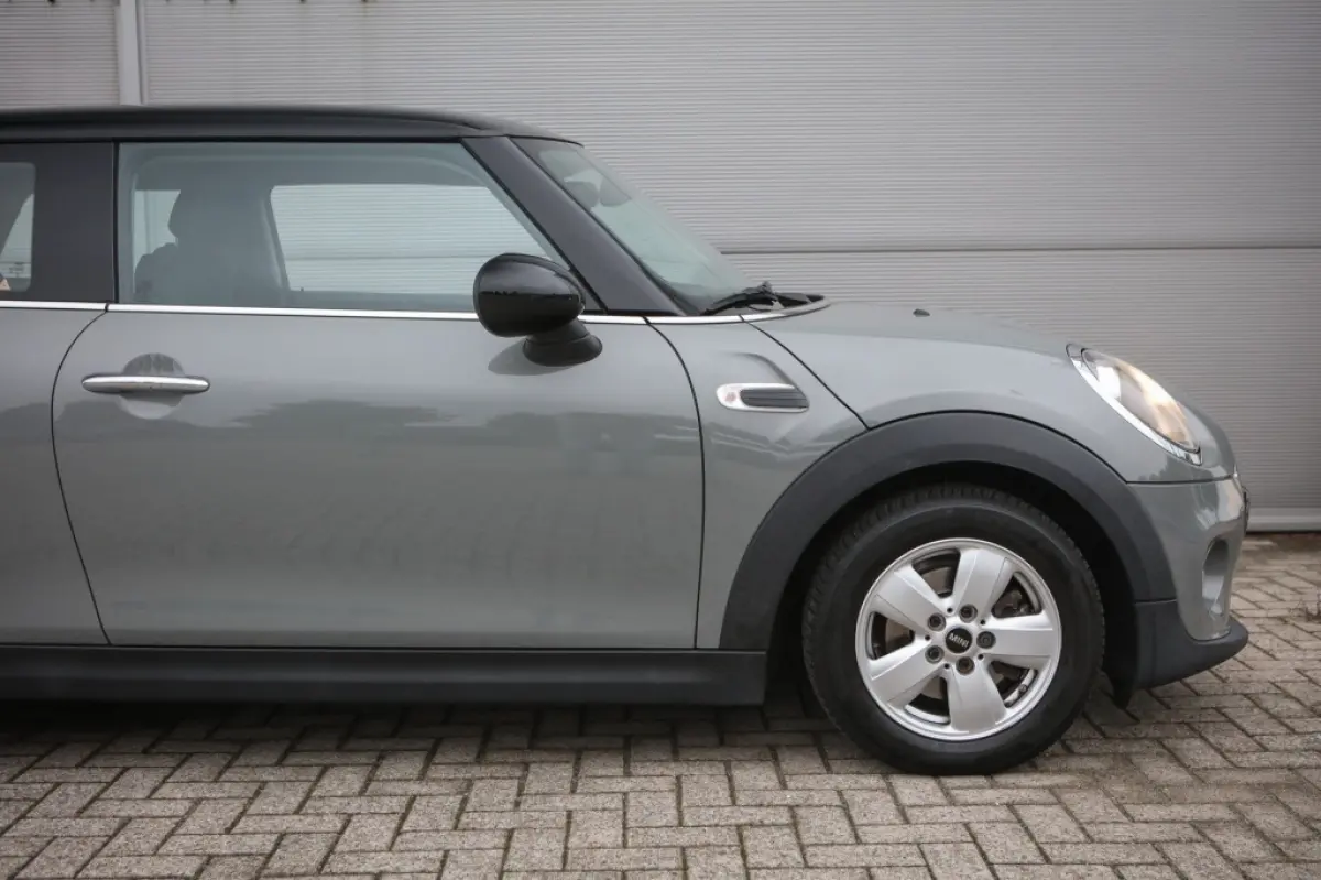 Mini 1.5