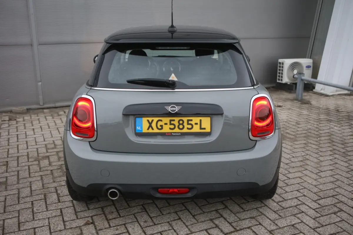 Mini 1.5