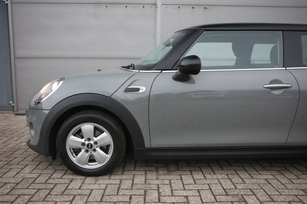 Mini 1.5