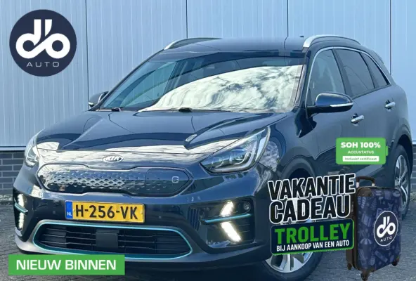 ExecutiveLine 64 kWh SOH 100% I LEER + VERWARMING + VERKOELING I NAVI + CAMERA I ORG.NL + NAP