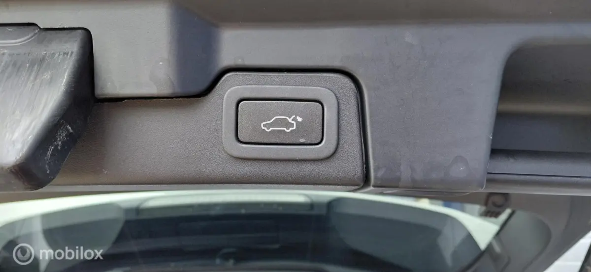 Pano,Leer 2.0 Si 4WD Dynamic