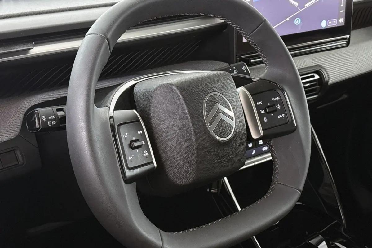 Max 113pk 44 kWh SOH 99% Achteruitrijcamera Apple CarPlay