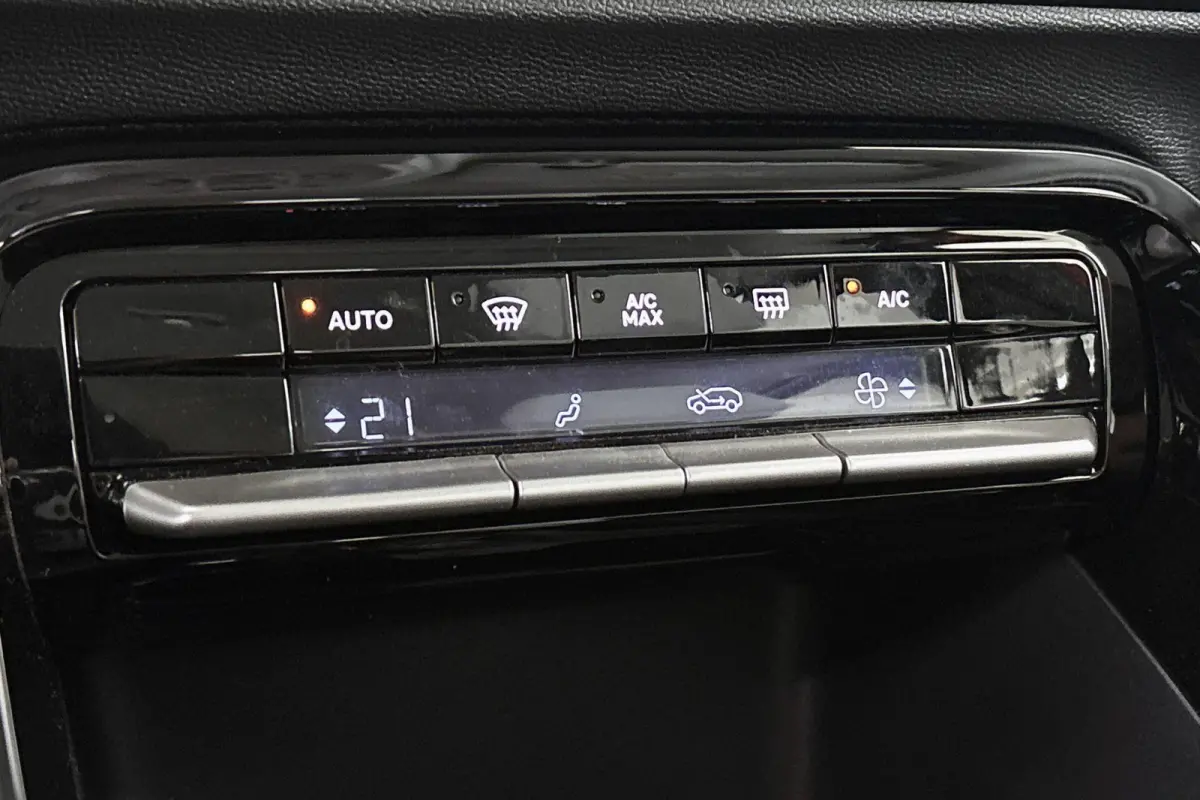 Max 113pk 44 kWh SOH 99% Achteruitrijcamera Apple CarPlay