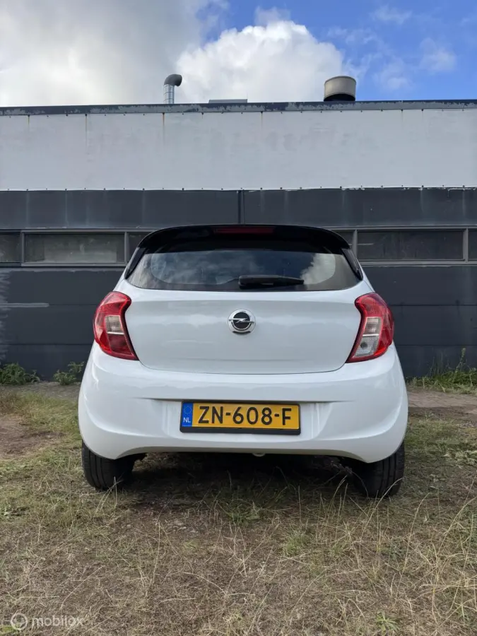 1.0 ecoFLEX 120 Jaar edition|NAP