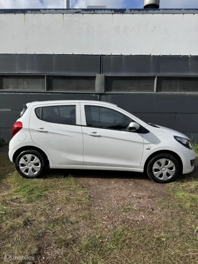 1.0 ecoFLEX 120 Jaar edition|NAP