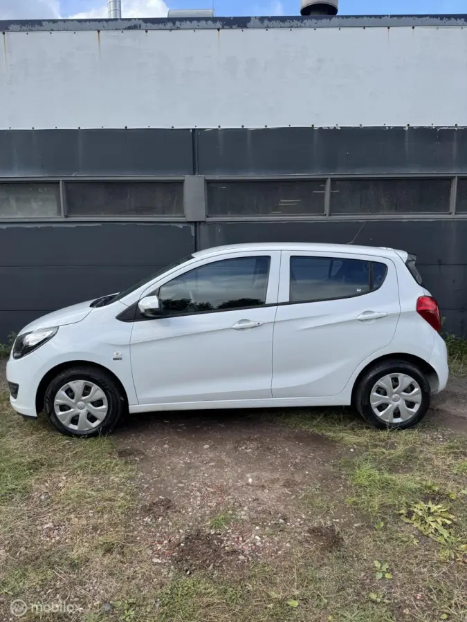 1.0 ecoFLEX 120 Jaar edition|NAP