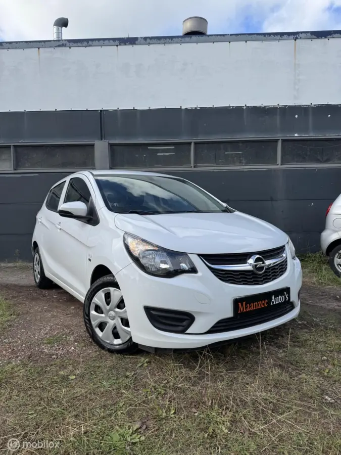 1.0 ecoFLEX 120 Jaar edition|NAP