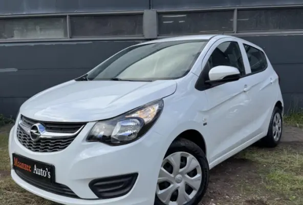 1.0 ecoFLEX 120 Jaar edition|NAP