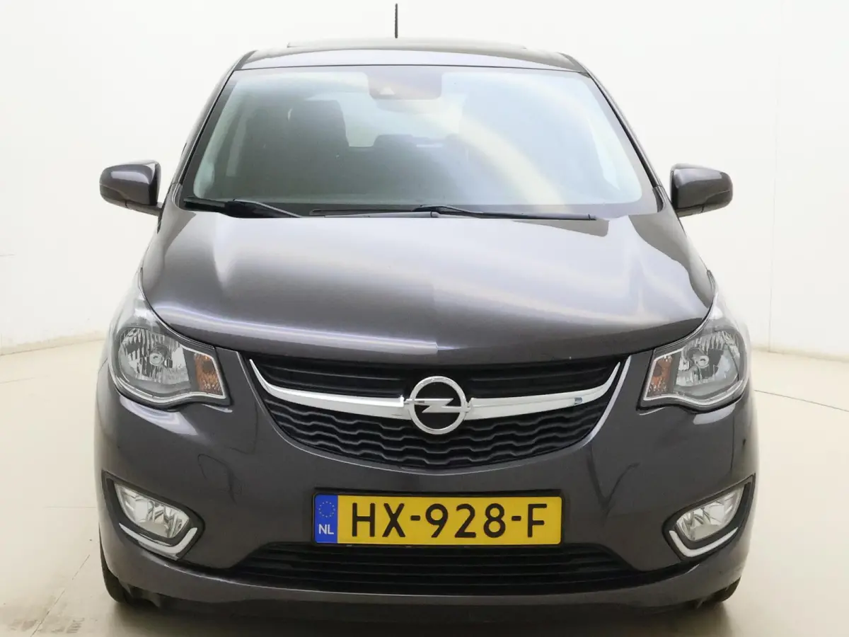 1.0 ecoFLEX Cosmo | Panoramadak | Half Leder | Cruise Control | Climate Control | 12 MAAND BOVAG |