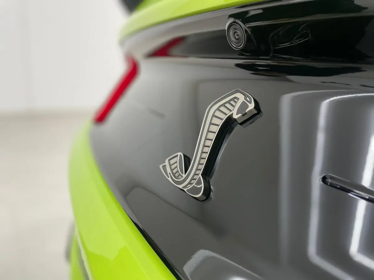 GT500 Shelby Track Pack