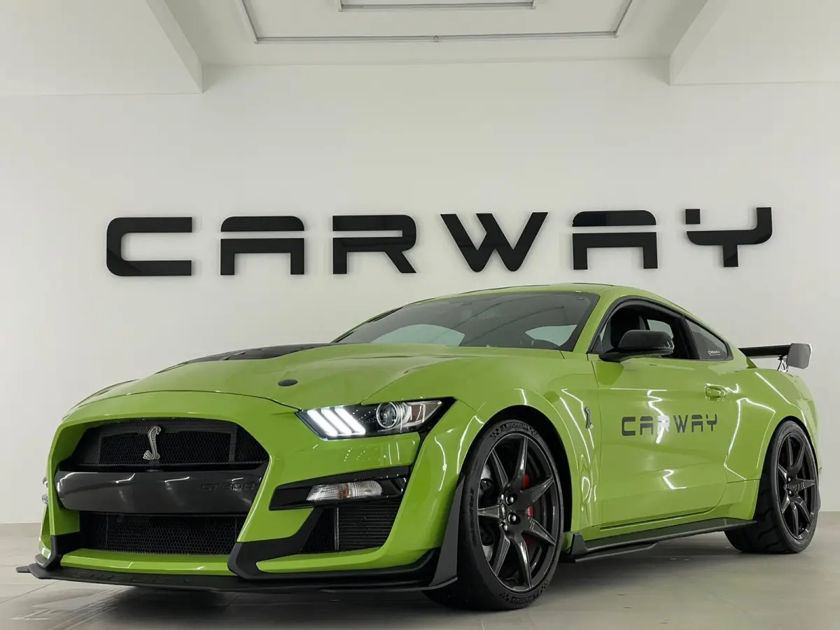 GT500 Shelby Track Pack