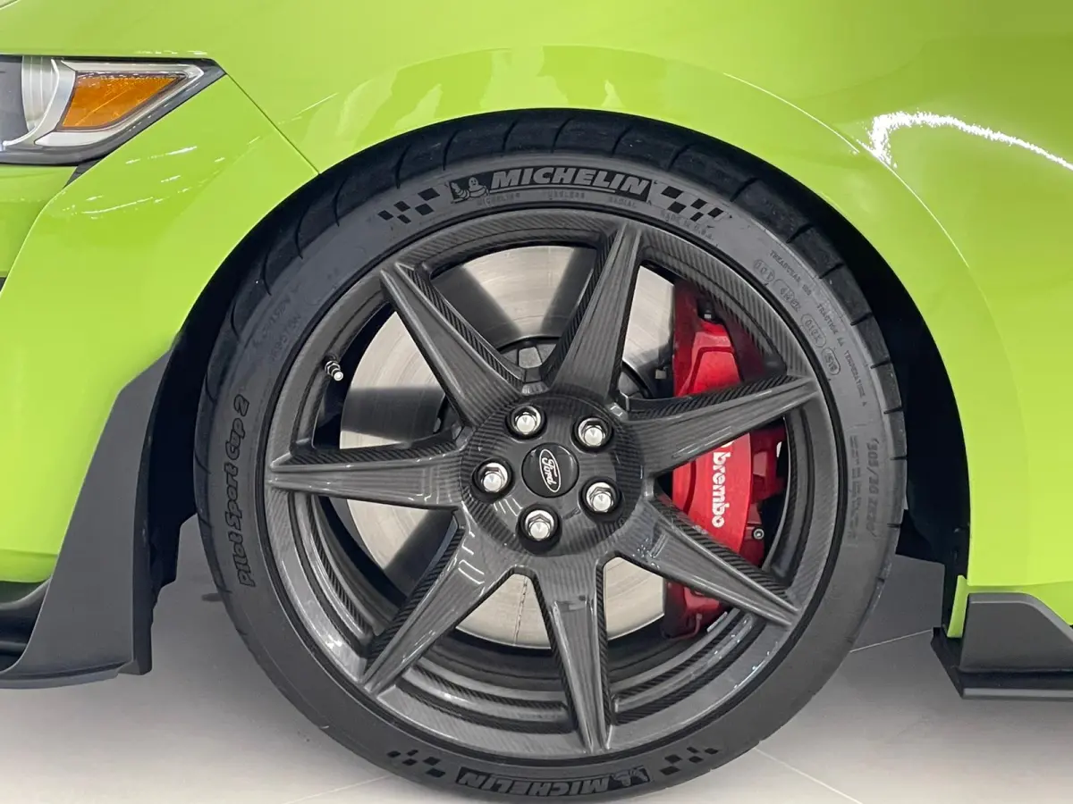 GT500 Shelby Track Pack