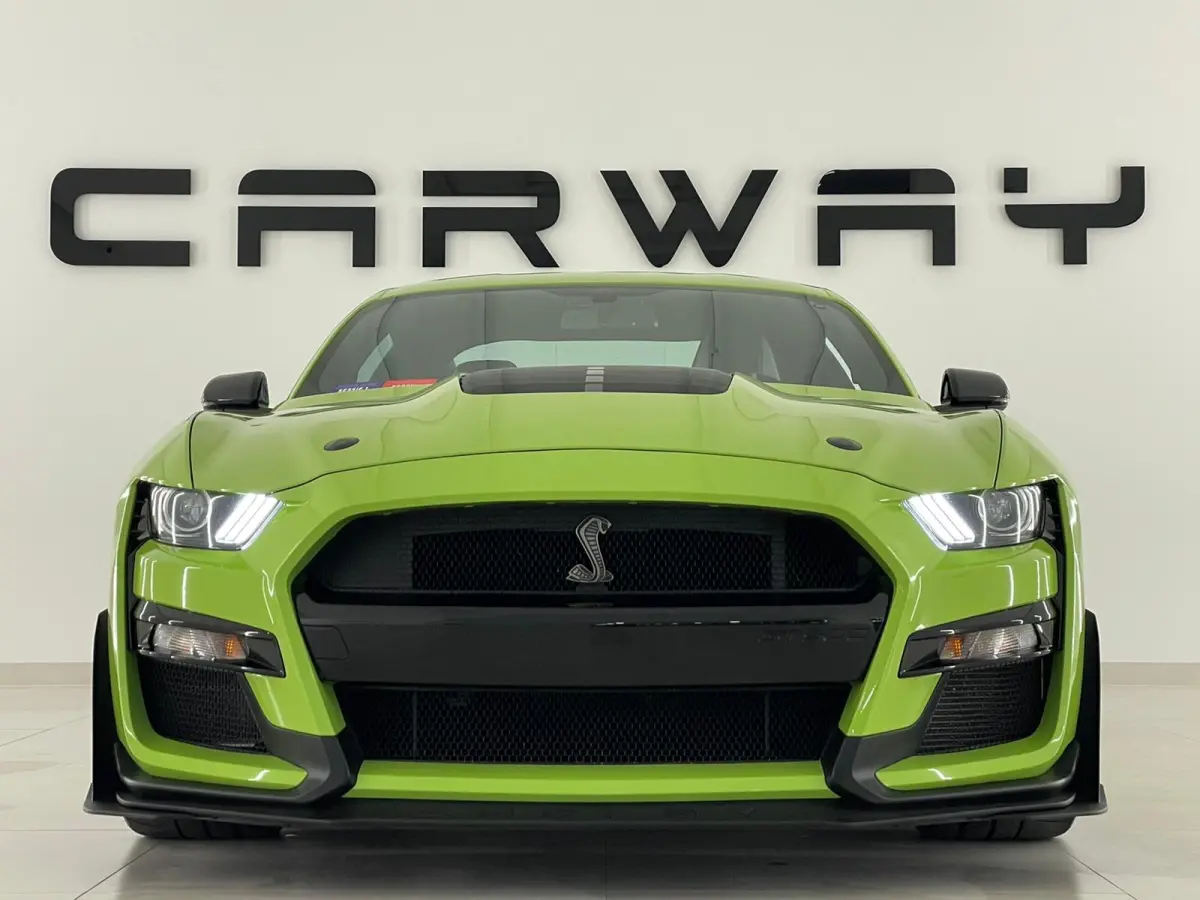 GT500 Shelby Track Pack