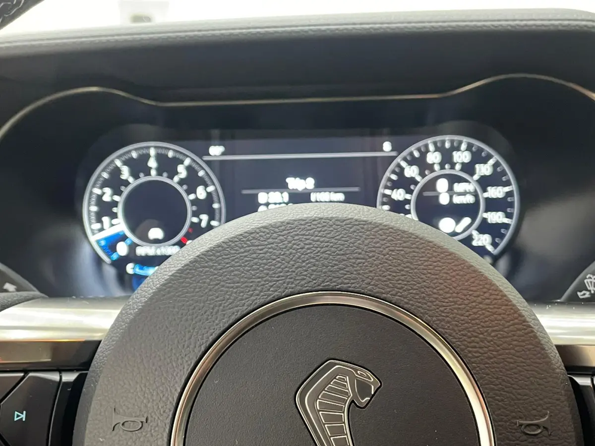 GT500 Shelby Track Pack