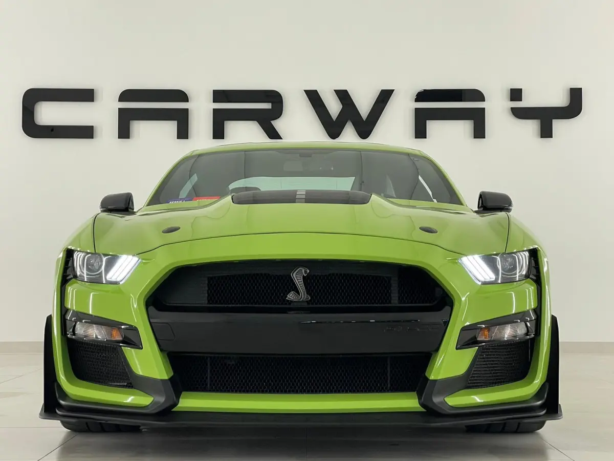 GT500 Shelby Track Pack