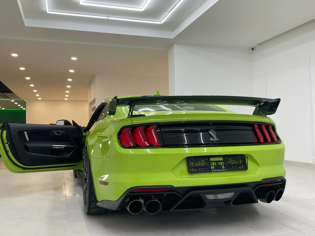GT500 Shelby Track Pack