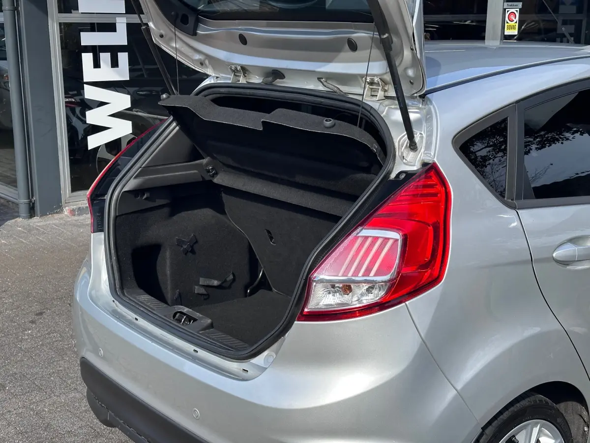 1.0 EcoBoost ST Line ORG NL / CLIMA / CRUISE / NAVI / NAP