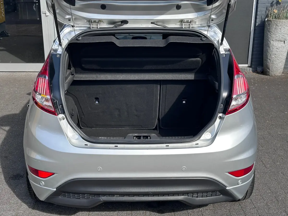1.0 EcoBoost ST Line ORG NL / CLIMA / CRUISE / NAVI / NAP